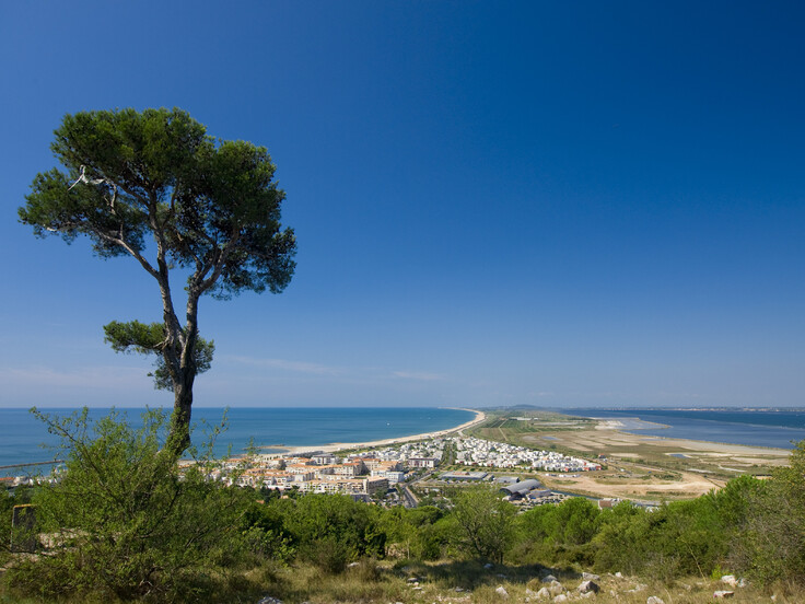 Surge in real estate prices around the étang de Thau