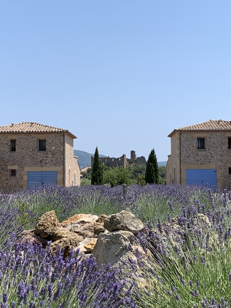 Domaine des Pins
