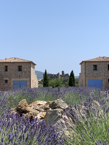 Domaine des Pins