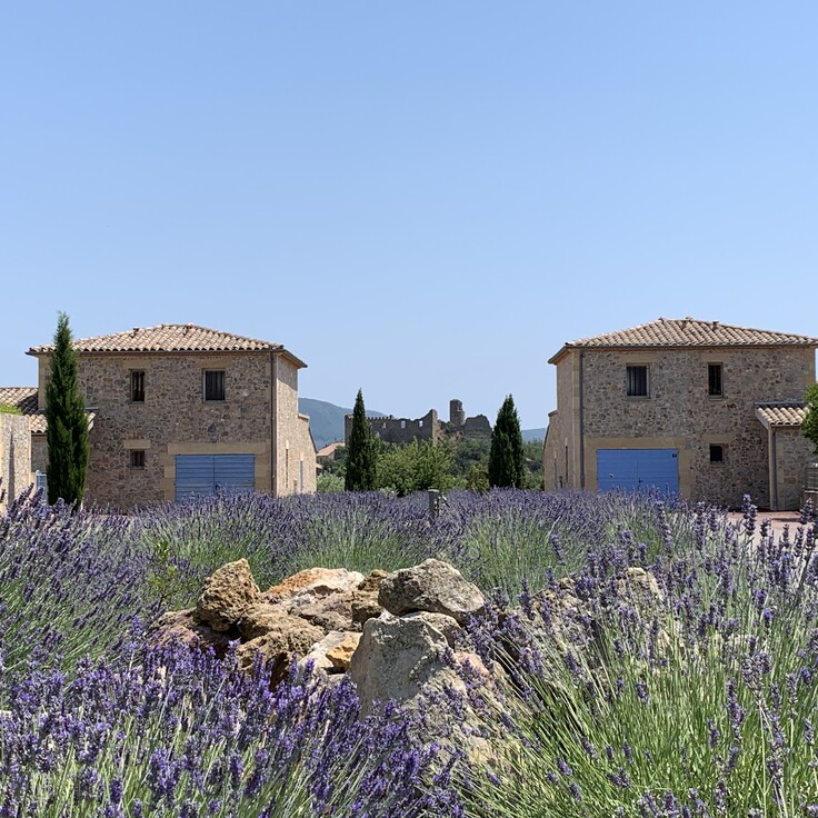 Domaine des Pins