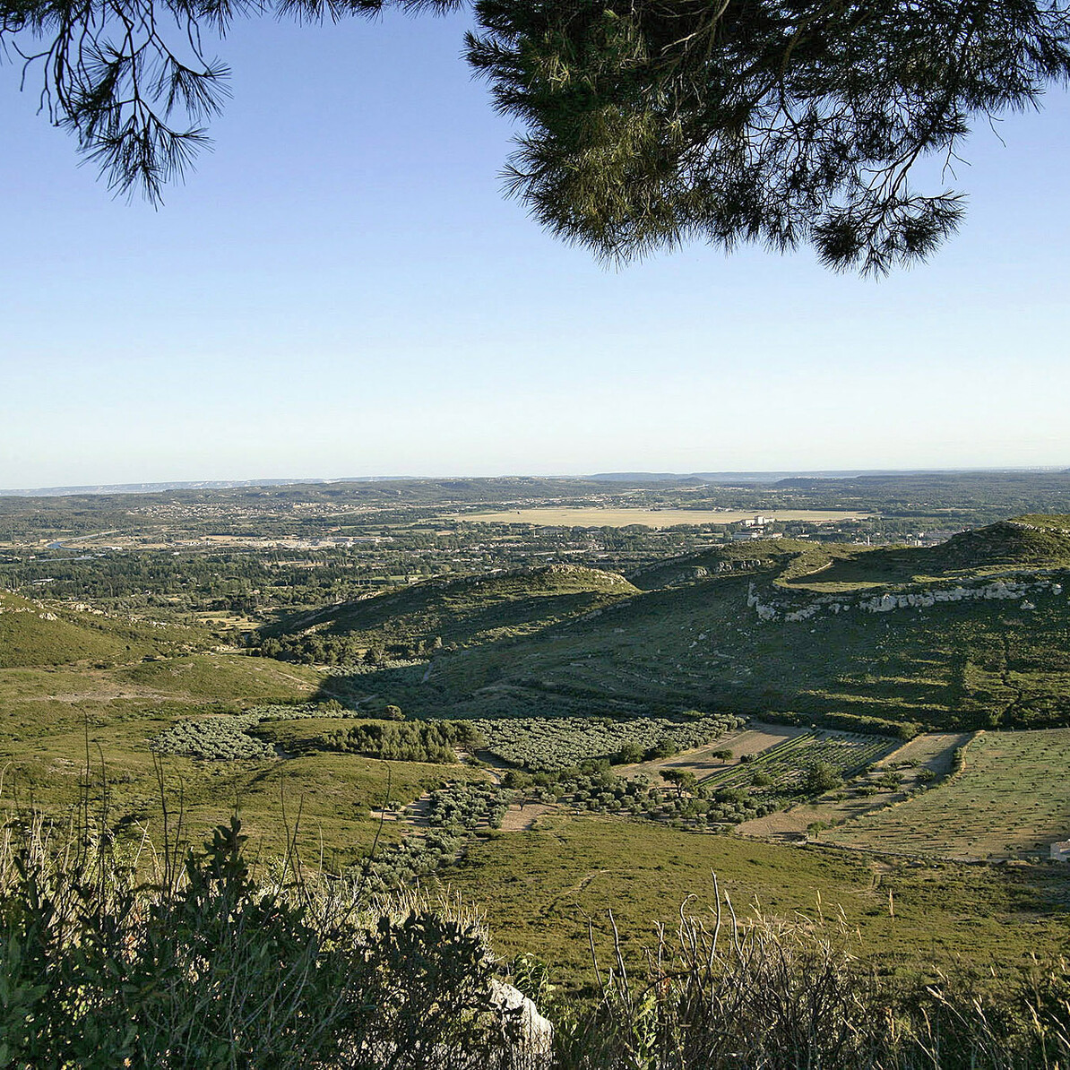 Vue depuis le site