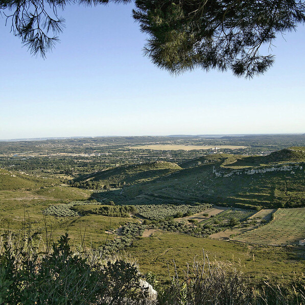 Vue depuis le site