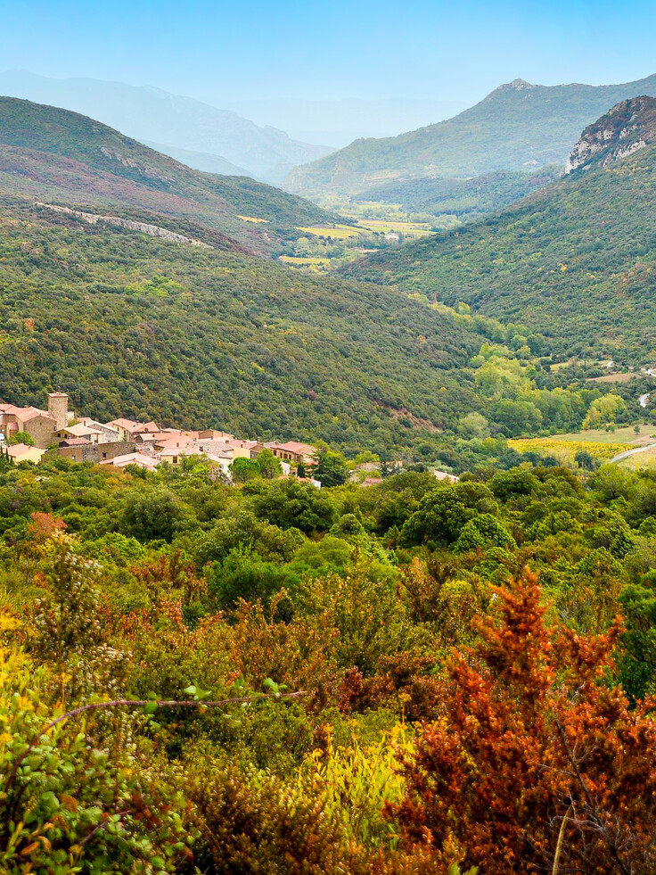 Hameau des pins