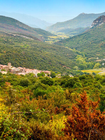 Hameau des pins