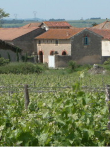 Domaine de Puech Cocut